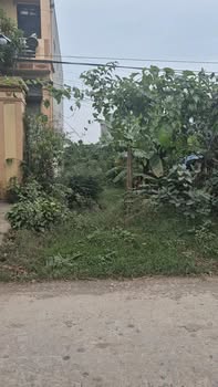 Đất nền Yên Khánh Ninh Bình 110m² - Đầu tư sinh lời ngay!