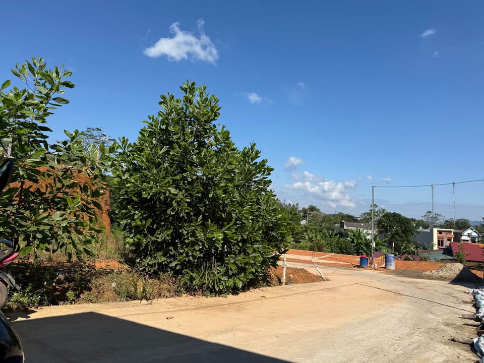 Đất nền Kim Phú Tuyên Quang 99m² giá 1.25 tỷ - Ô tô đỗ cửa, ngõ thông!