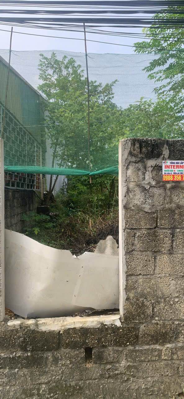 Đất nền tại tổ 14 An Tường 135m² giá 1.2 tỷ - Đường ô tô vào tận nơi!