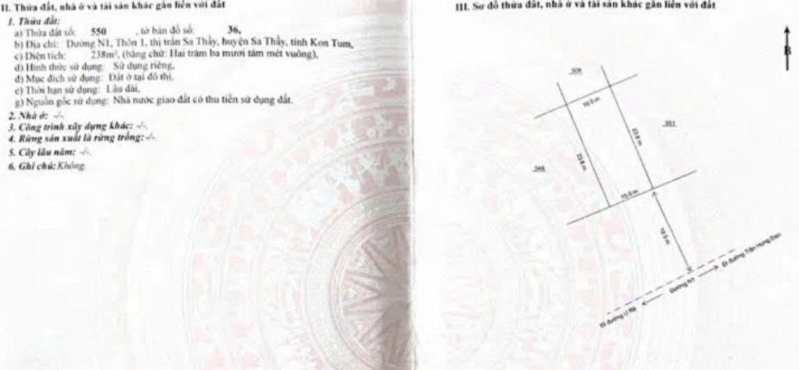 Đất thổ cư 238m² đường N1, Sa Thầy - Giá siêu rẻ, chính chủ bán gấp!