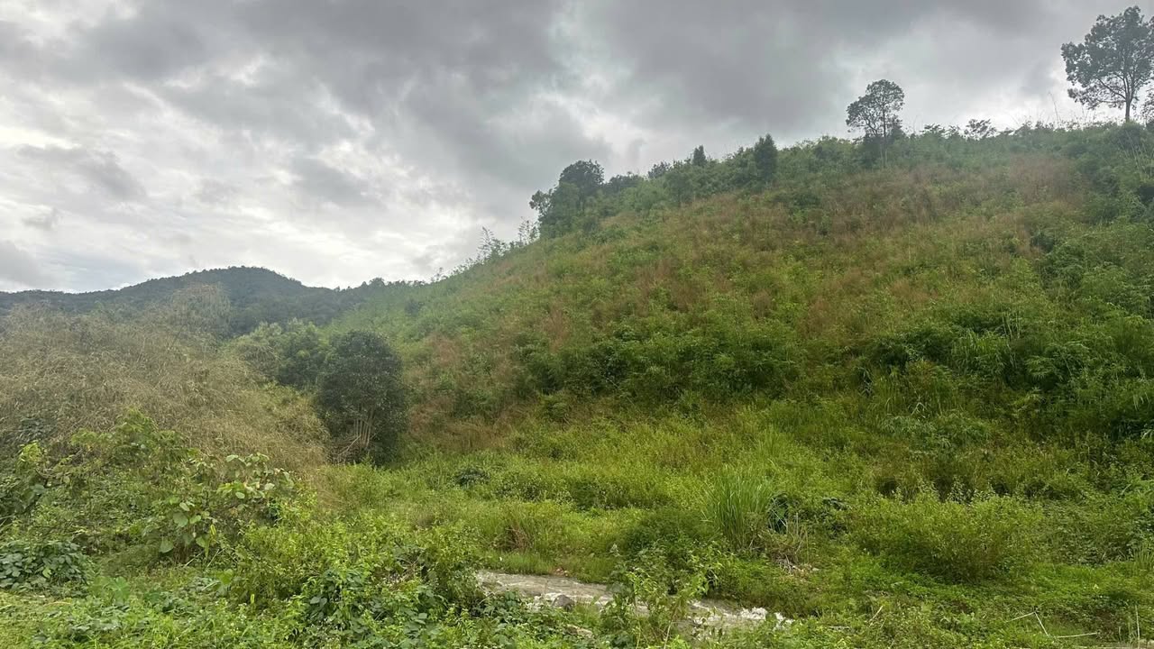 Đất nông nghiệp 8,5ha tại Đắk Tơ Lung, Kon Rẫy - Cơ hội đầu tư hấp dẫn!