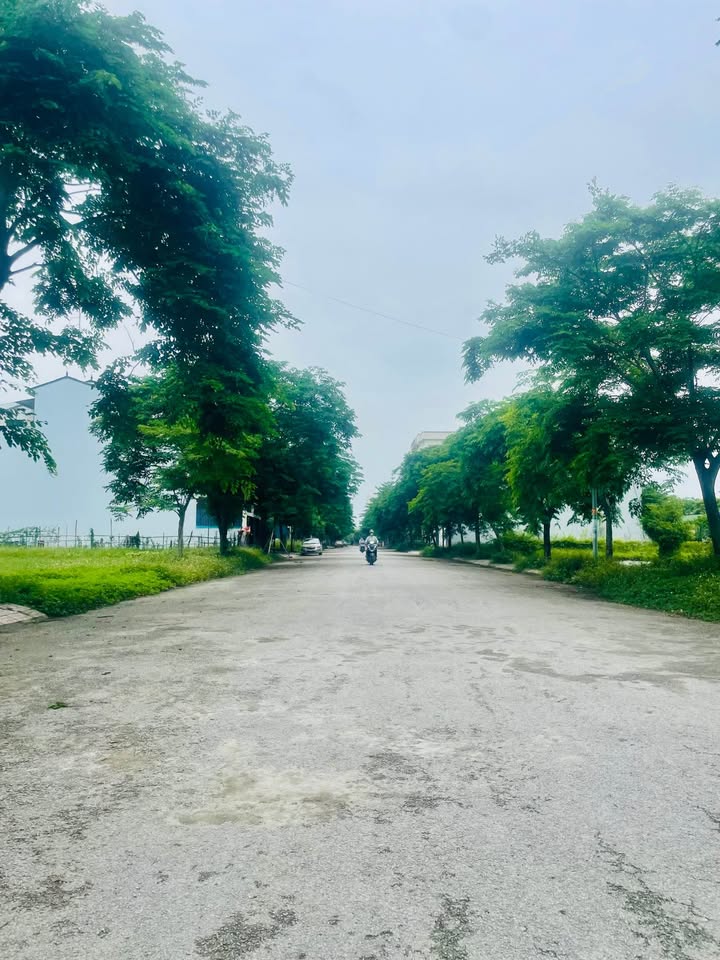 Đất Nền Nghi Kim Vinh 160m² - Đường 17m Rộng Rãi, Giá Tốt Nhất Thị Trường!