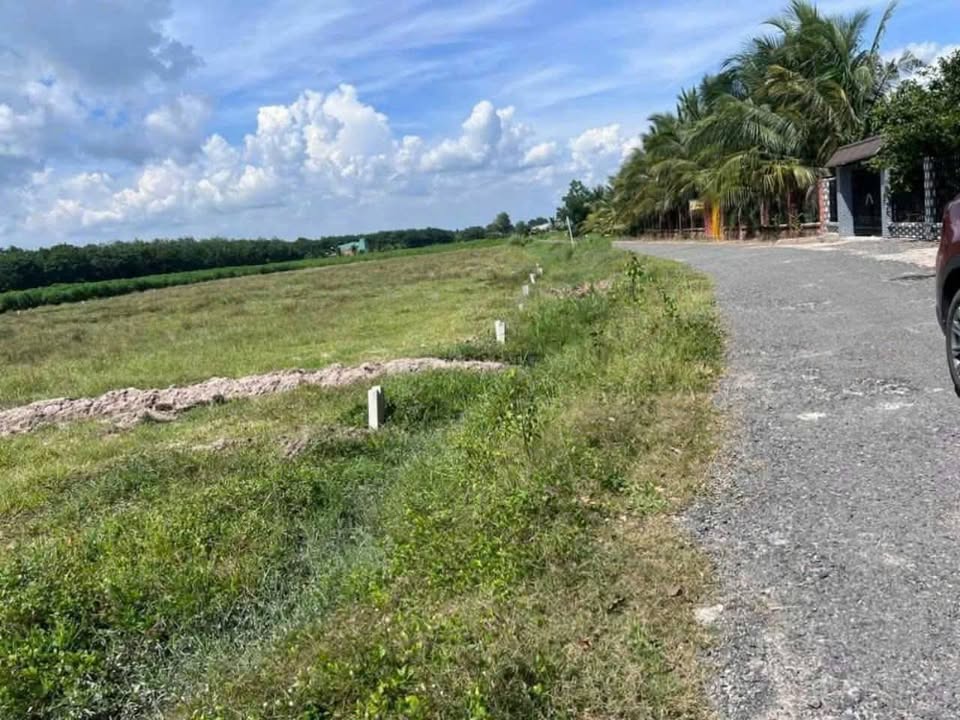 Đất thổ cư Long Chữ, Bến Cầu 207m² giá chỉ 350 triệu - Đầu tư sinh lời ngay!