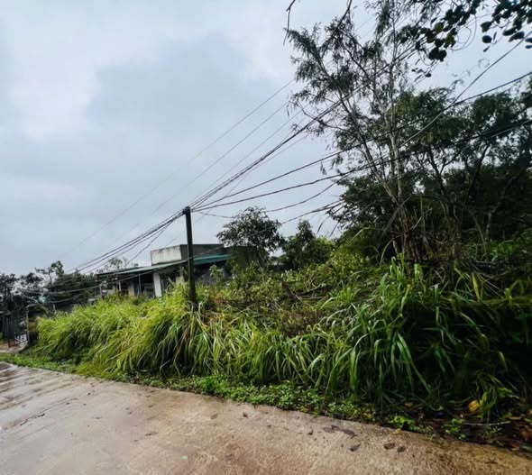 Đất nền TDP 9, xã Ea Drăng, huyện Ea H'leo 335m² giá 1.69 tỷ - Đầu tư sinh lời tiềm năng!