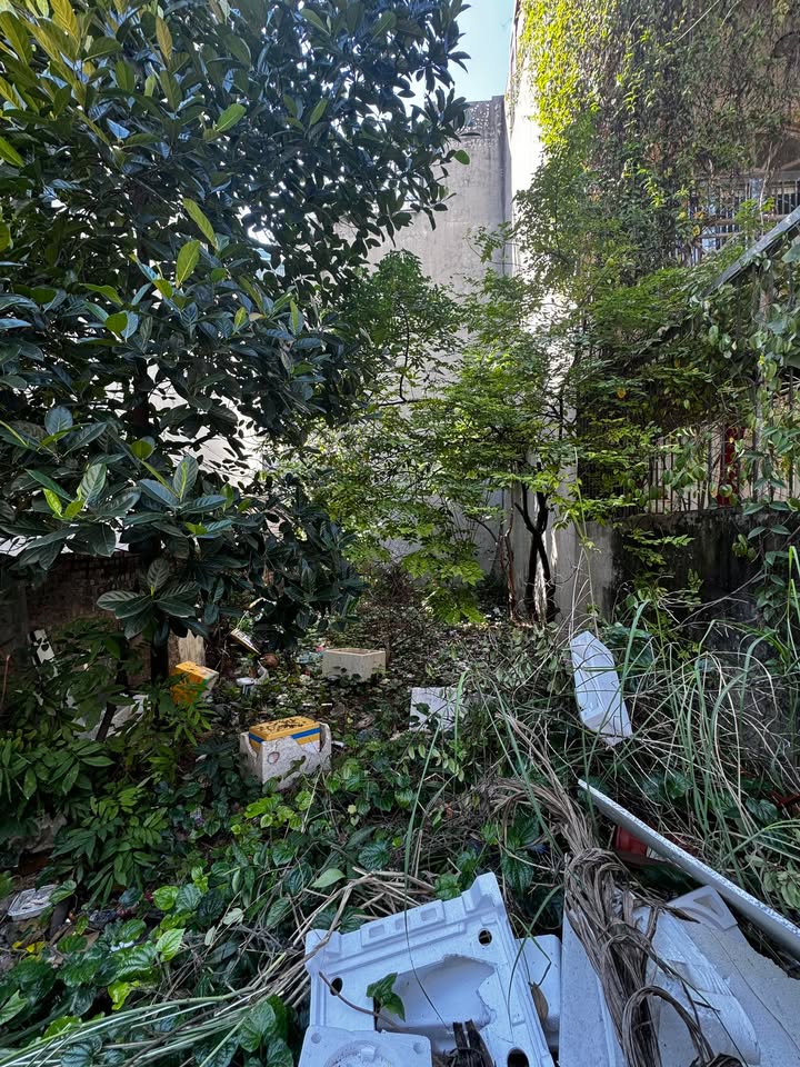 Đất Phúc Lợi 100m² giá chỉ 100 triệu - Ngõ ô tô vào tận nơi!