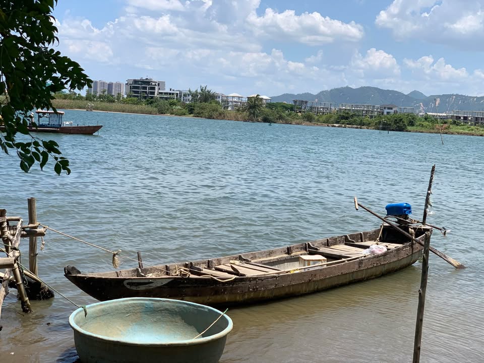 Đất rừng 2ha tại đường Ngô Xuân Thu, Đà Nẵng - Giá chỉ 1 tỷ!