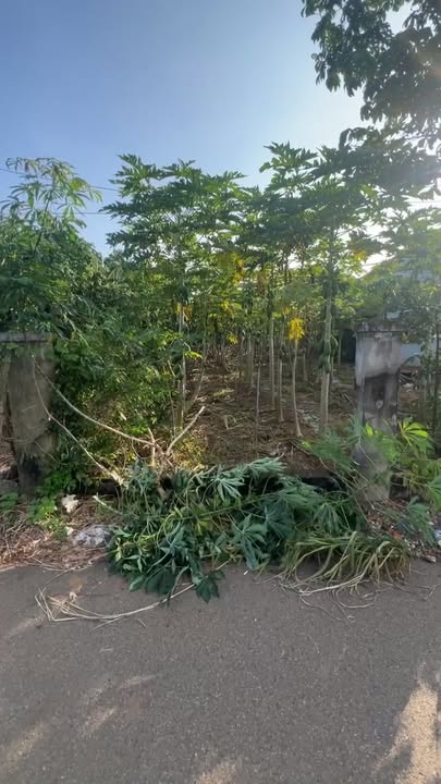 Đất nền 2800m² khu dân cư Xuân Sơn, Châu Đức - Chỉ 3.2 tỷ!