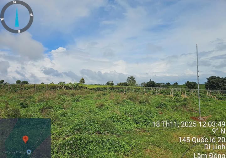 Đất Bảo Thuận Di Linh 1700m² giá 1.5 tỷ - Cơ hội đầu tư tuyệt vời!