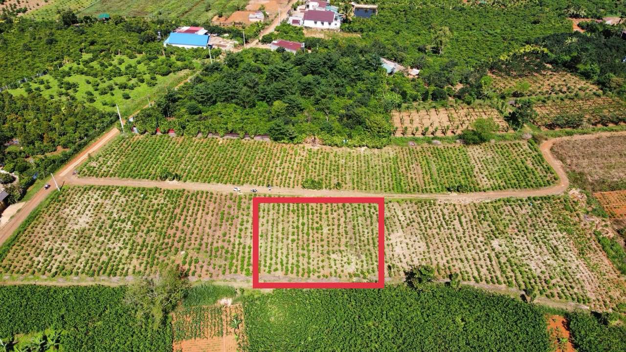 Đất nền khu dân cư Lộc An, Bảo Lâm 115m² giá 500 triệu - Cơ hội đầu tư hấp dẫn!