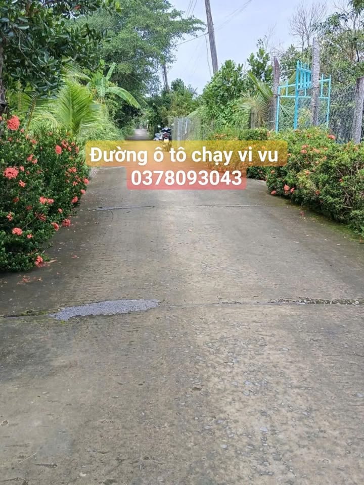Đất vườn 1000m² xã Tân Dương, Đồng Tháp - Giá chỉ 700 triệu!