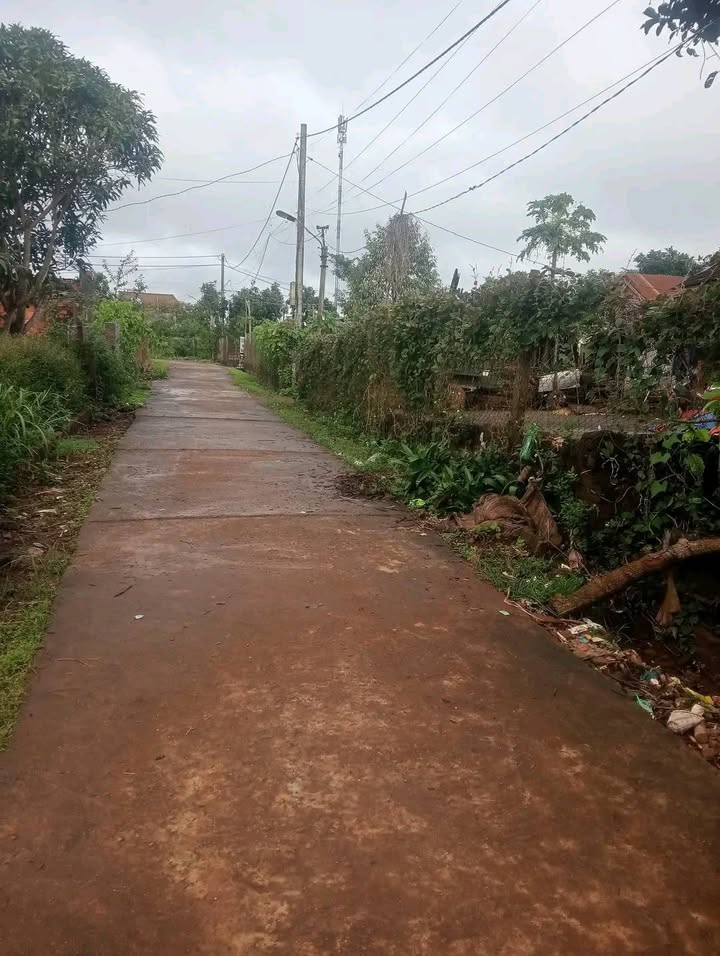 Đất thổ cư 450m² tại xã Ea Nam, Đắk Lắk - Giá chỉ 1.5 tỷ, đầu tư sinh lời!