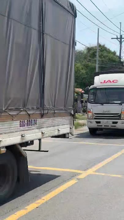 Đất nền 100.000m² tại xã Tân An Hội, Củ Chi - Giá chỉ 3 triệu/m²!