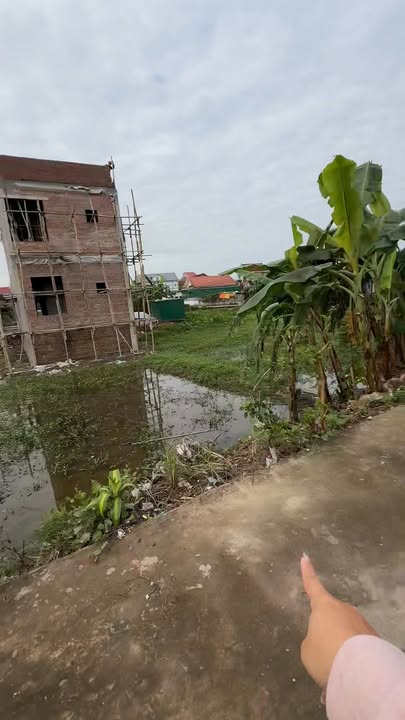 Đất nền Tràng Sơn, Đô Lương 100m² giá thỏa thuận - Cơ hội đầu tư hấp dẫn!