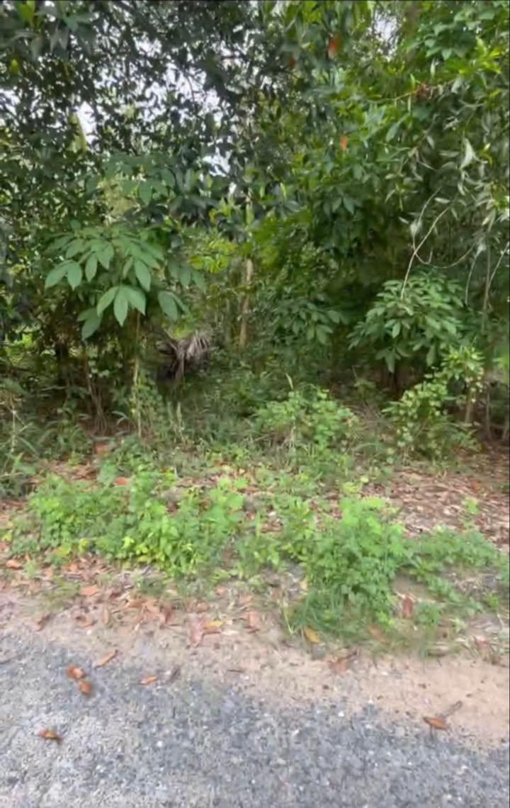 Đất thổ cư Hòa Thành Tây Ninh 315m² giá 600 triệu - Đầu tư sinh lời ngay!