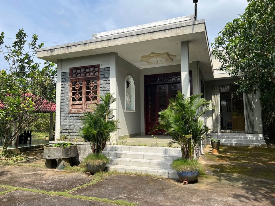 Đất vườn Bến Tre 1817m² giá 9 tỷ - Quy hoạch đất ở toàn bộ