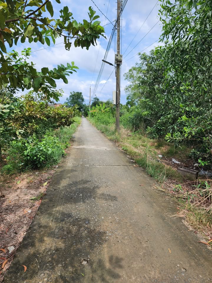 Đất nền mặt tiền lộ Đan, xã Tân Hiệp, 240m² giá 370 triệu - Đầu tư sinh lời cao!