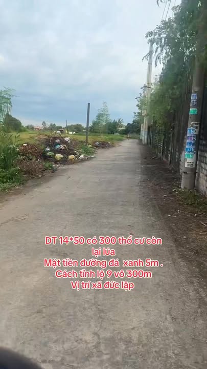 Đất thổ cư 300m² xã Đức Lập, giá 2.5 tỷ - Mặt tiền đường đá xanh rộng rãi!