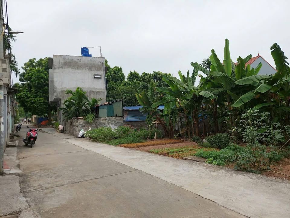 Đất đấu giá Phù Lưu Tế, Mỹ Đức 162m² - Mặt tiền rộng, ô tô tránh nhau!