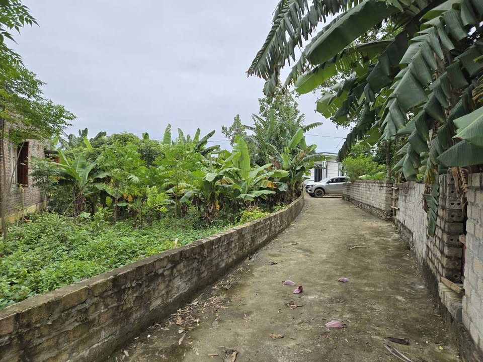 Đất nền tại Thanh Sơn, Lương Sơn 127m² giá rẻ - Sổ đỏ chính chủ!