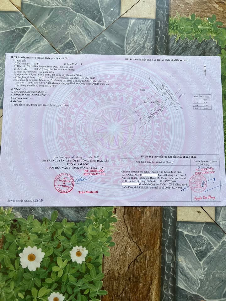 Đất nền Ea Nuôl 300m² giá 3 tỷ - Đầu tư sinh lời tuyệt vời!