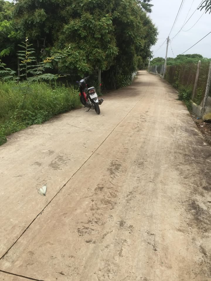 Đất thổ cư 232m² tại Tân Hưng, Tân Châu - Giá chỉ 600 triệu, cần bán gấp!