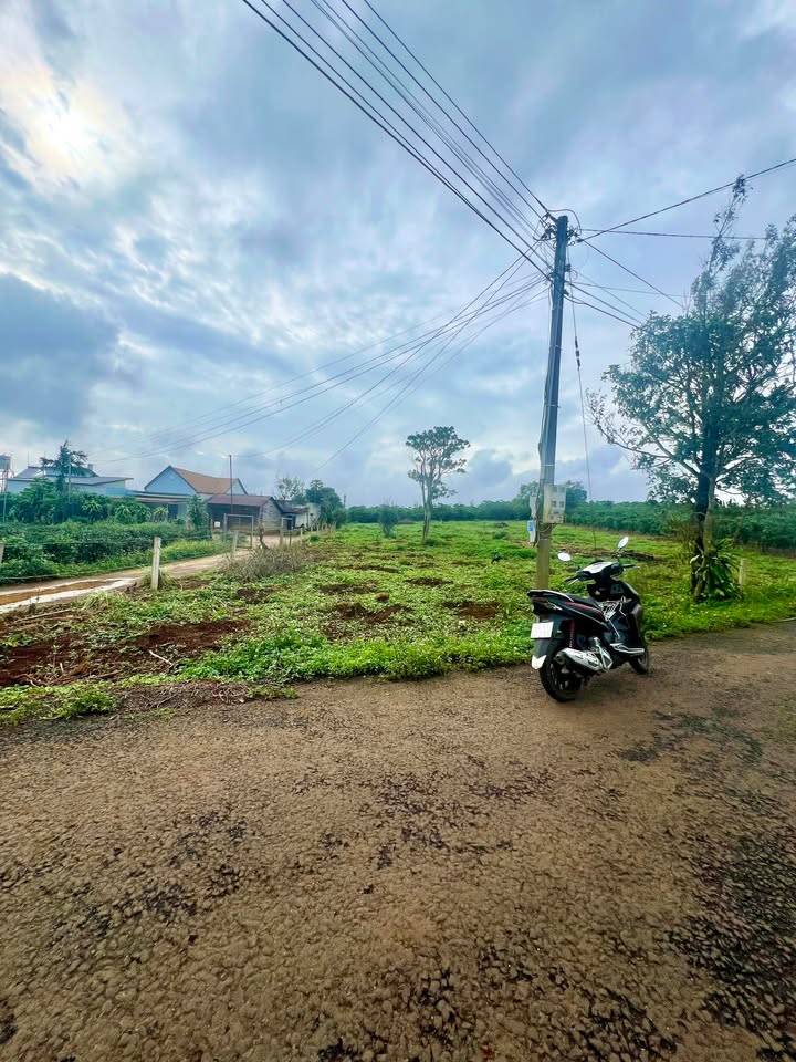 Đất nền 2 mặt tiền đường Âu Cơ, phường 2, Bảo Lộc 1000m² - Giá chỉ 2.5 tỷ thương lượng!