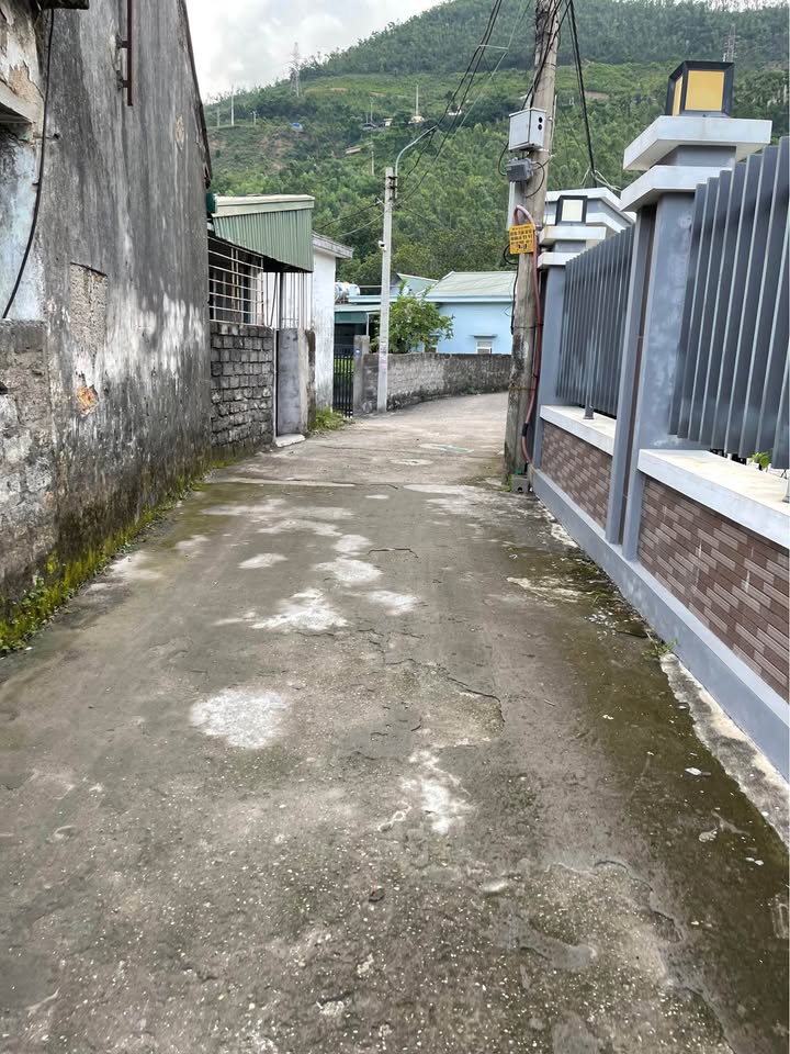 Đất Cẩm Thạch Cũ 50m² - Đường Ô Tô - Giá Thỏa Thuận Hấp Dẫn!