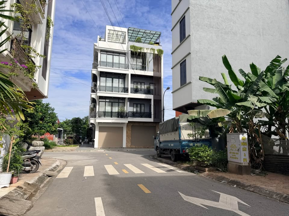 Đất nền TĐC Cây Đa Hải Phòng 40m² giá 125 triệu - Cơ hội vàng cho đầu tư!