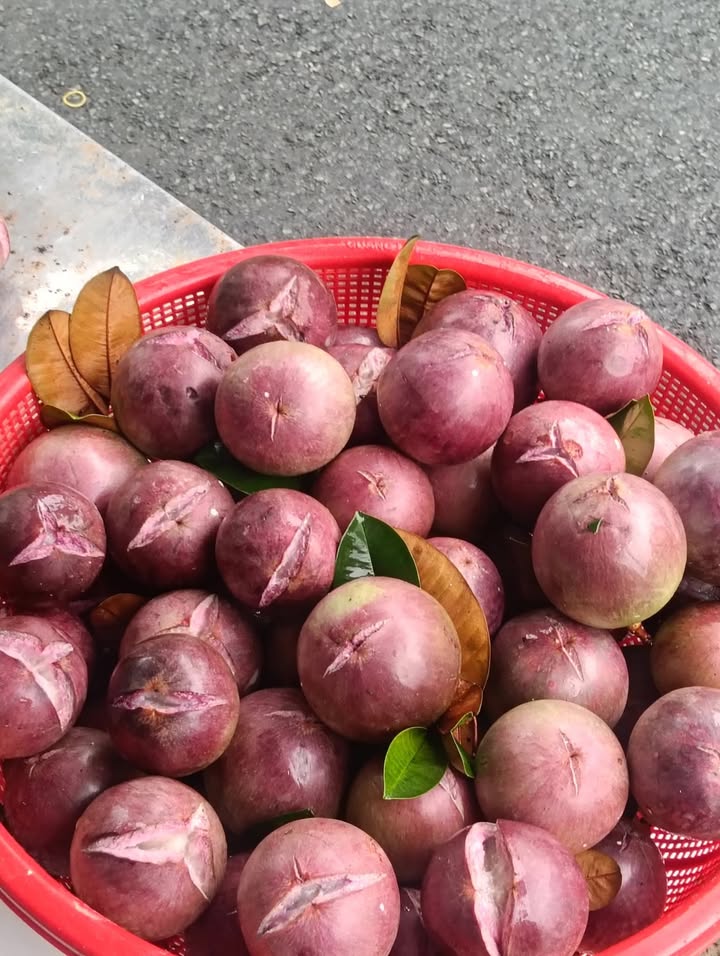 Nhà mặt tiền Quốc lộ 80 quận Tân Hiệp 95m² giá 1.05 tỷ - Dọn vào ở ngay!