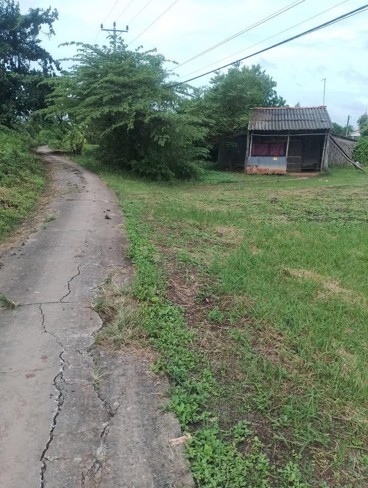 Đất Farm 36.000m² mặt tiền lộ ĐAL 3m tại Vĩnh Tân - Giá chỉ 2.16 tỷ!