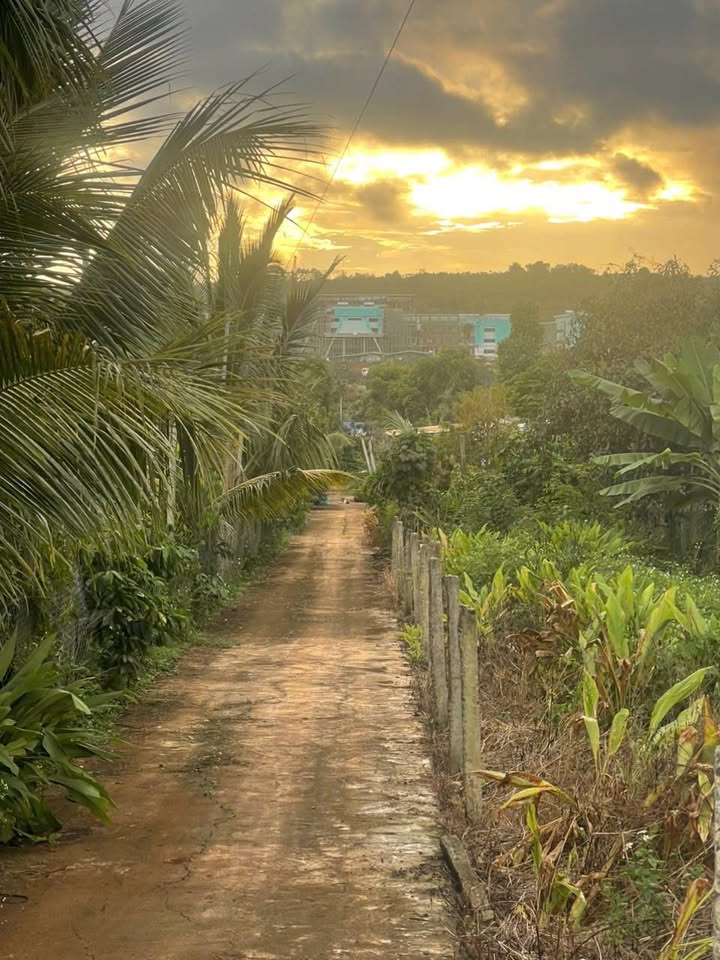 Đất nền Lạc Long Quân, Krông Năng 133m² giá 950 triệu - Pháp lý rõ ràng, sổ đỏ chính chủ!