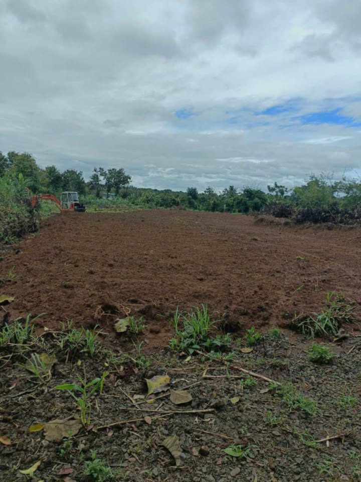 Đất nền Ea Kiết, Cư M'gar 50.000m² giá 1 tỷ - Đầy đủ điện nước, sẵn sàng xây dựng!