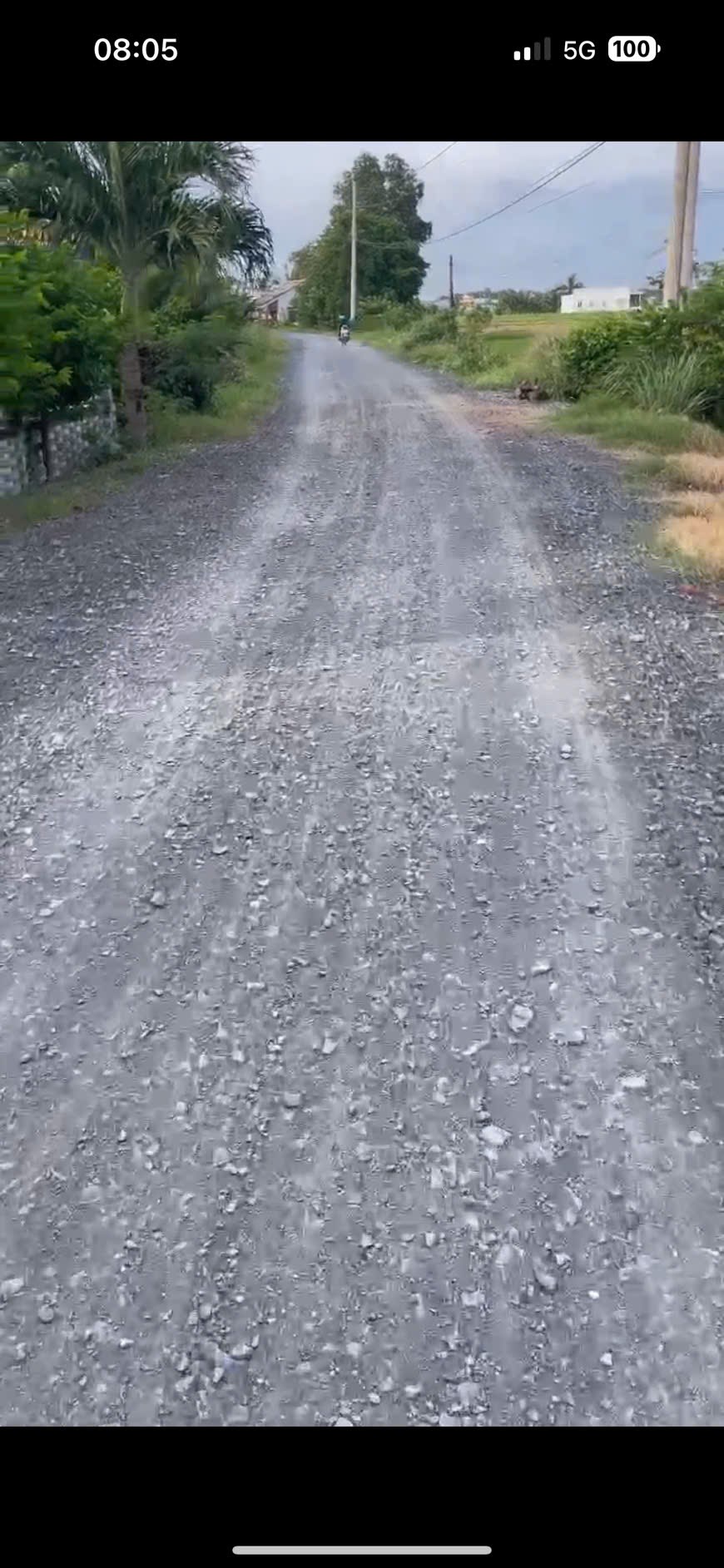 Đất vườn Long Hựu 1367m² giá 550 triệu - Cơ hội đầu tư hiếm có!