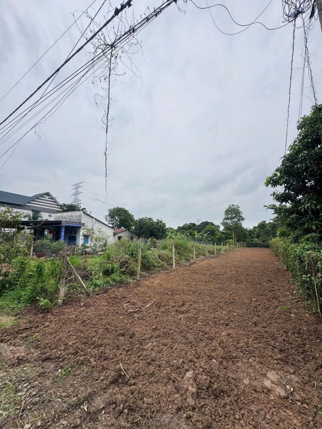 Đất thổ cư 150m² mặt tiền ngay ngã 3 tỉnh lộ 7 và Cây Trôm - Giá chỉ 960 triệu