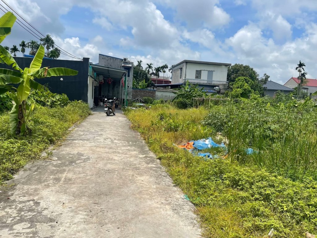 Đất nền 50m² tại Lương Quán, An Dương chỉ 900 triệu - Cơ hội đầu tư không thể bỏ lỡ!