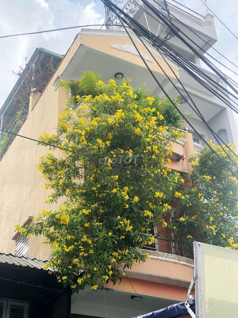 Nhà Mặt Tiền Kinh Doanh Xô Viết Nghệ Tĩnh 3x17m - 12,5 triệu/tháng