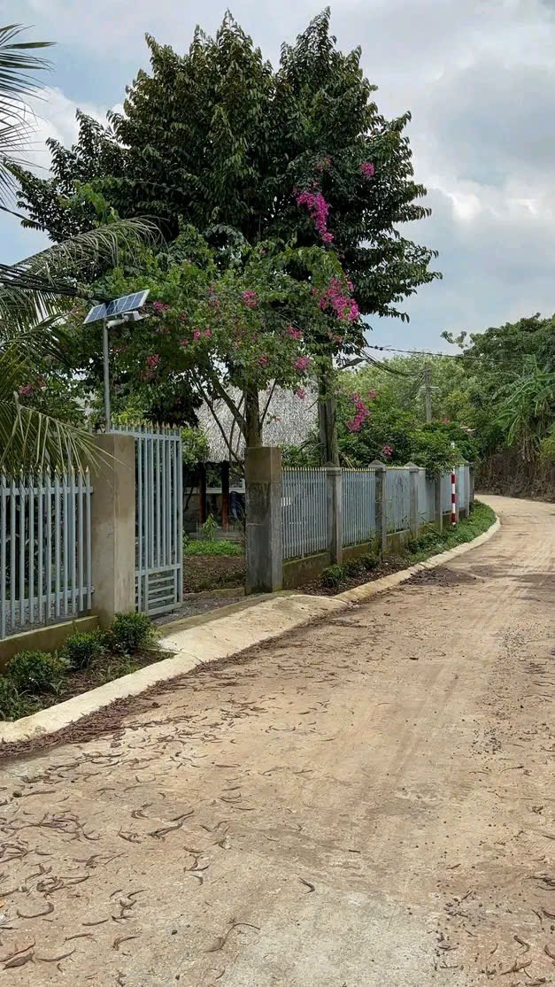 Nhà vườn Lai Uyên Bàu Bàng 1200m² giá 550 triệu - Đầu tư sinh lời nhanh chóng!