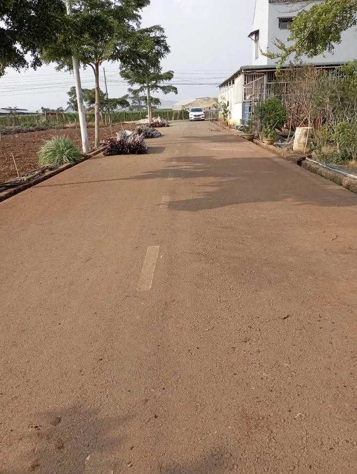 Bán gấp 2 lô đất tổ 34 Thị trấn Liên Nghĩa, Đức Trọng, 131m² chỉ 1,35 tỷ