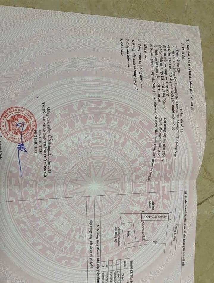 Đất nền khu Hồng Kỳ, Ninh Dương 110m² giá 1 tỷ - Đường ô tô tránh nhau thoải mái!