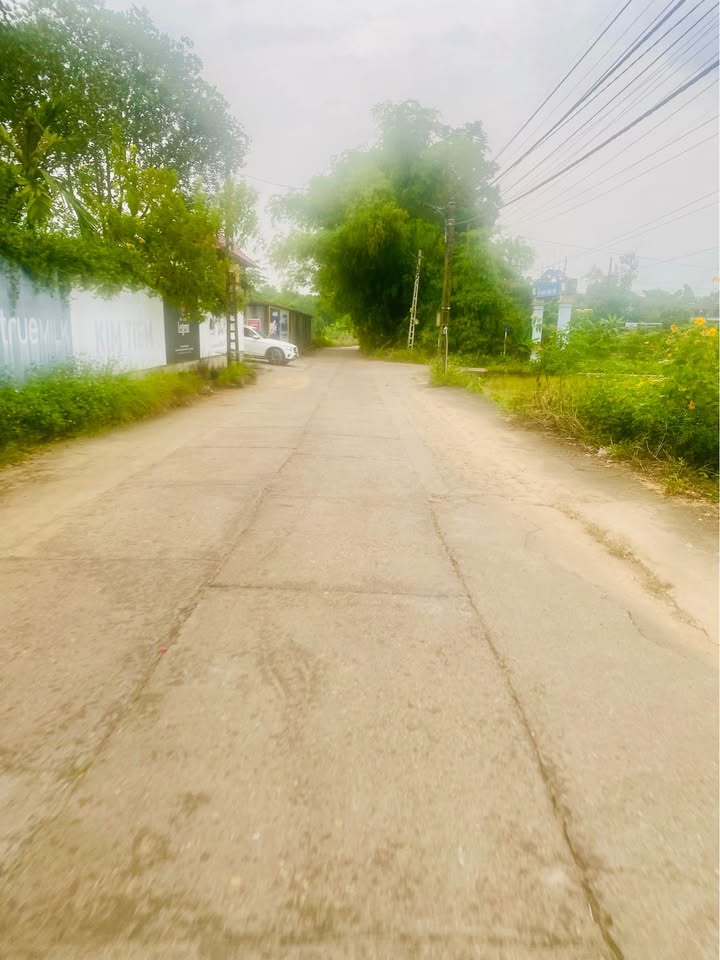 Đất nền Phú Xá Thái Nguyên 500m² - Đường thông rộng, đầu tư sinh lời!