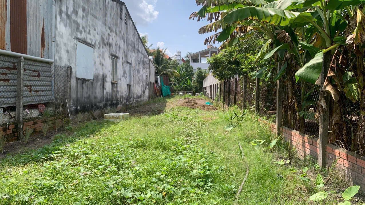 Đất thổ cư 234m² 2 mặt tiền đường Lạc Long Quân, Tây Ninh chỉ 370 triệu - Cơ hội đầu tư sinh lời!