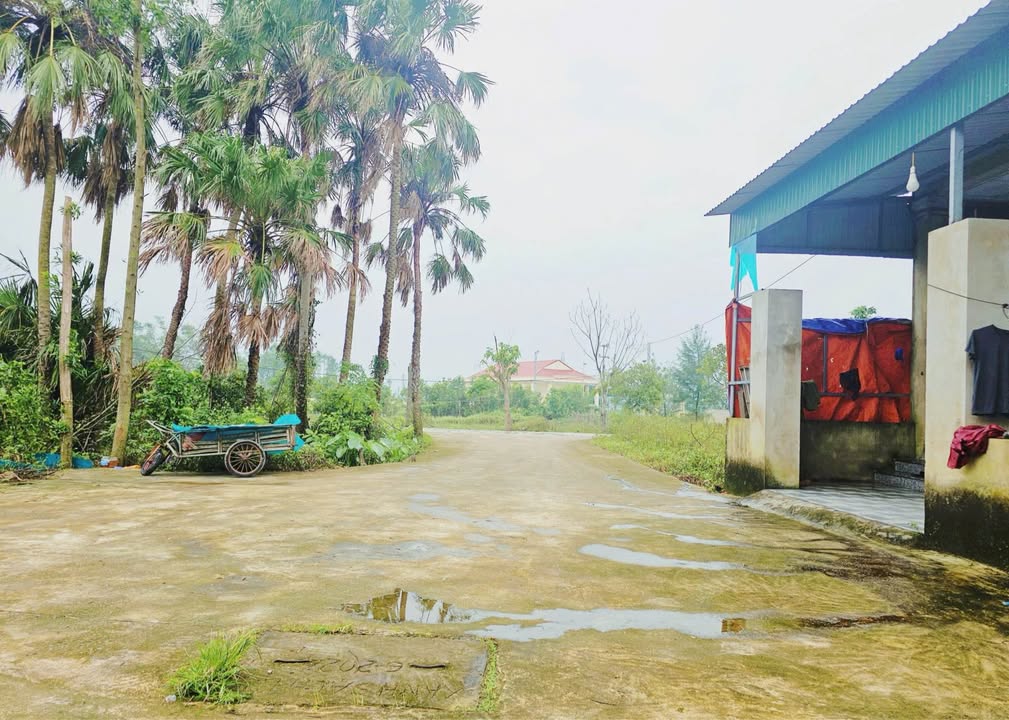 Đất thổ cư Thôn Tân Hòa, Hà Tĩnh 135m² giá 800 triệu - Khu dân cư văn minh!