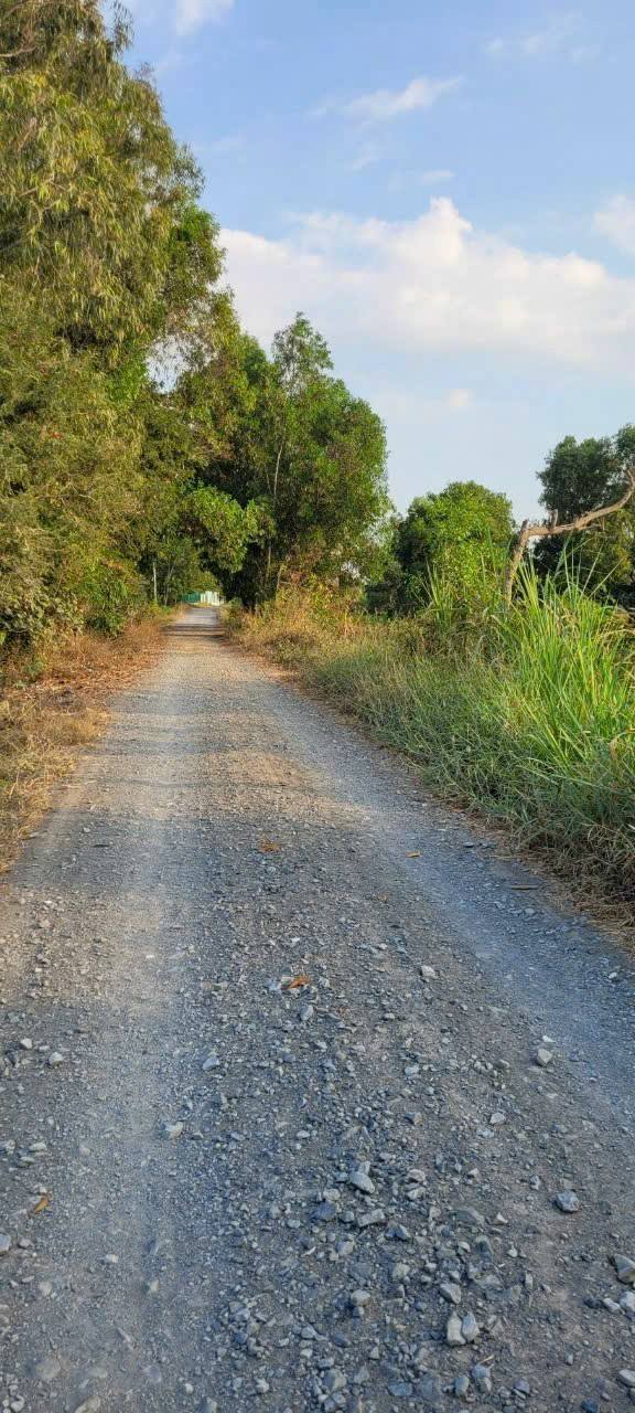 Đất nông nghiệp Gò Công 3500m² giá 2.1 tỷ - Tiềm năng đầu tư sinh lời!