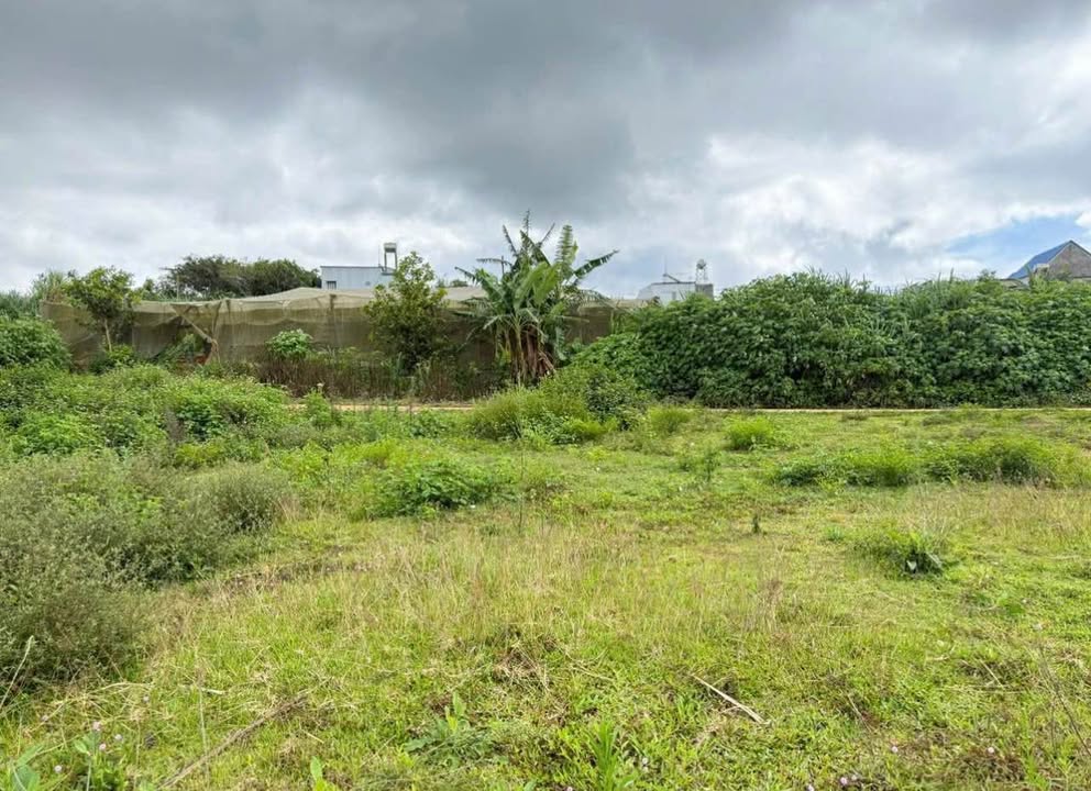 Đất thổ cư Quảng Lập Đơn Dương 135m² giá 400 triệu - Cơ hội đầu tư không thể bỏ qua!