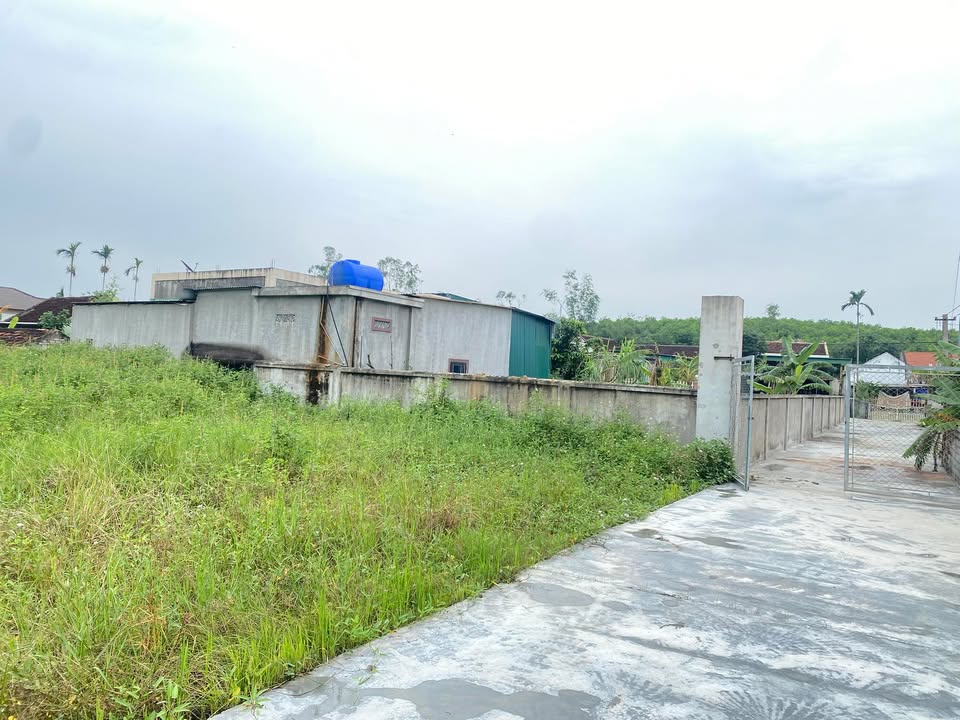 Đất thổ cư Đức Thành 280m² giá chỉ 450 triệu - Cơ hội hiếm có!