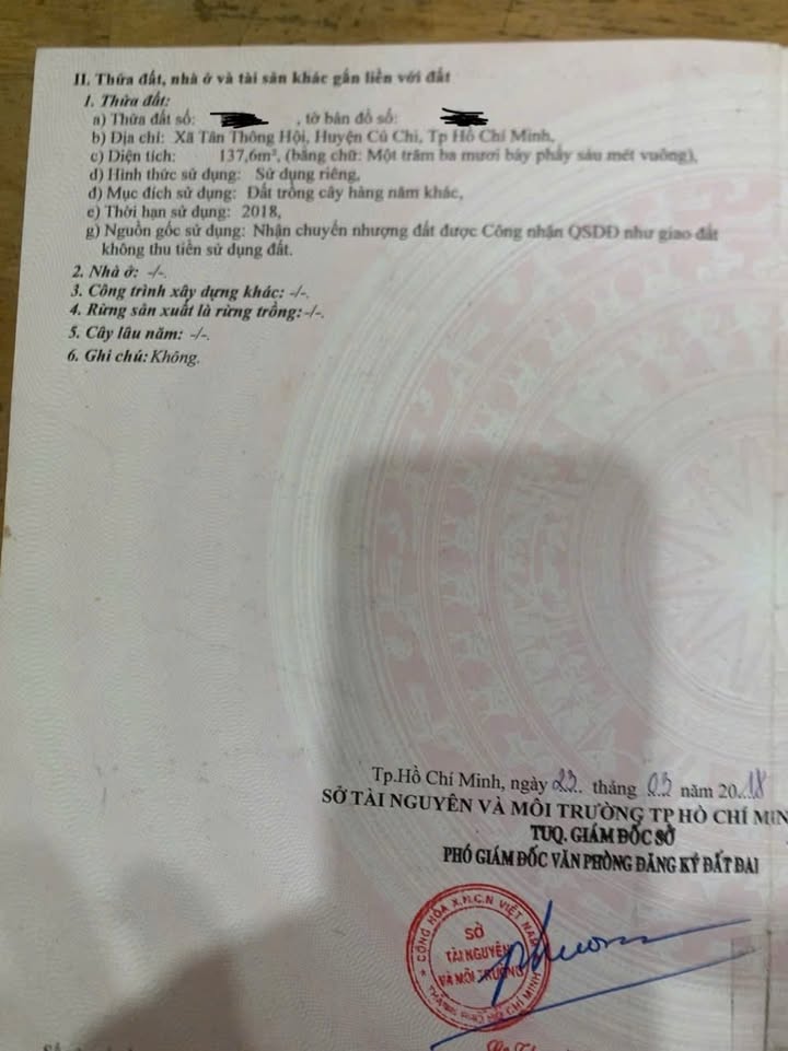 Nhà mặt tiền Trần Tử Bình, xã Tân Thông Hội, 140m² - Đầu tư sinh lời lý tưởng!