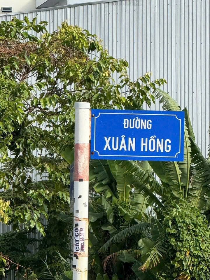 Đất nền mặt tiền đường Xuân Hồng, quận Bình Thủy, 100m² giá 4.5 tỷ - Đầu tư sinh lời ngay!