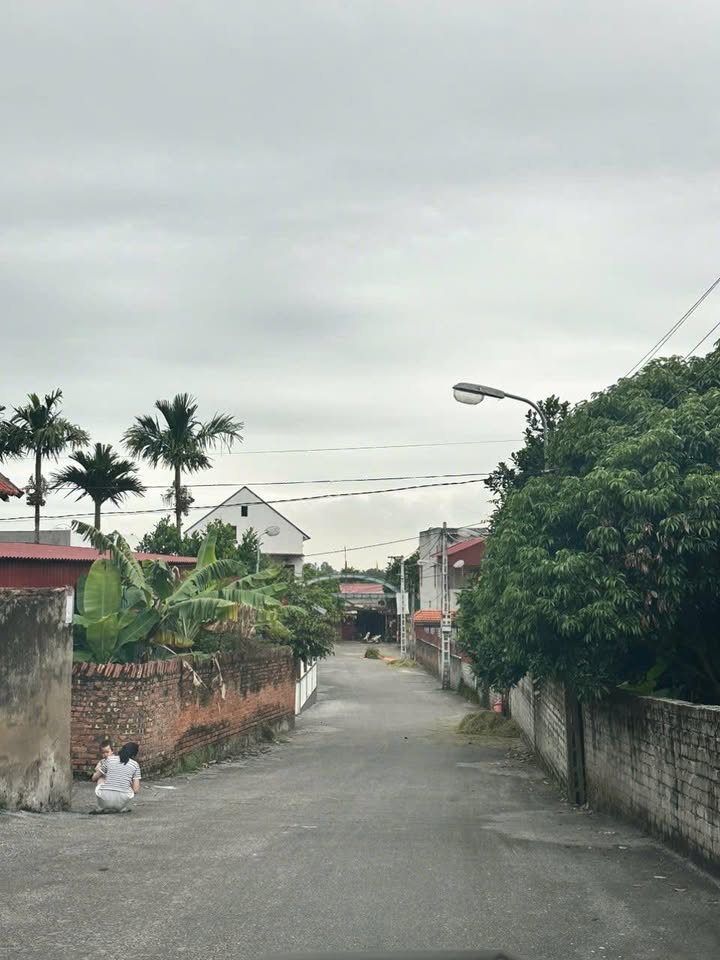 Đất nền thôn Phấn Sơn, Đồng Sơn 84m² - Giá thỏa thuận, vị trí đẹp