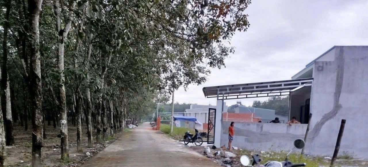 Đất nền Chánh Phú Hòa Bến Cát 124.7m² giá 1.15 tỷ - Sổ đỏ chính chủ, xây dựng tự do!