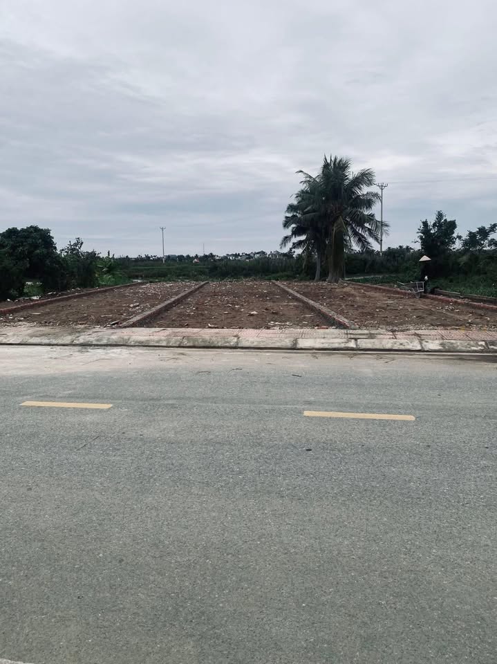 Đất nền Tiên Lãng - 100m² chỉ 1 tỷ - Mặt đường lớn, dân trí cao!